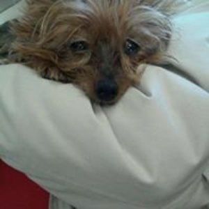 Meet your Posher, Sandra